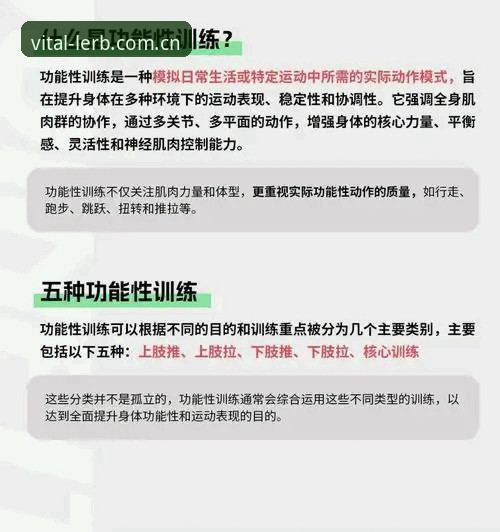乐宝活力运动 深度揭秘:乐宝活力运动如何重塑你的7B2D训练体验?
